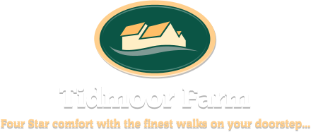Weymouth Cottage and Stable Accommodation from Tidmoor Farm